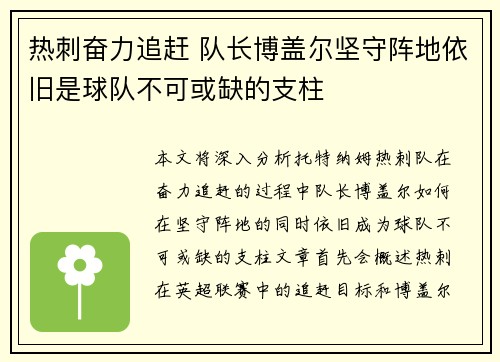 热刺奋力追赶 队长博盖尔坚守阵地依旧是球队不可或缺的支柱